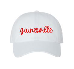 Gainesville Clean Up Cap 47