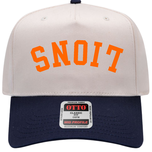 Lions Upside Down Cap